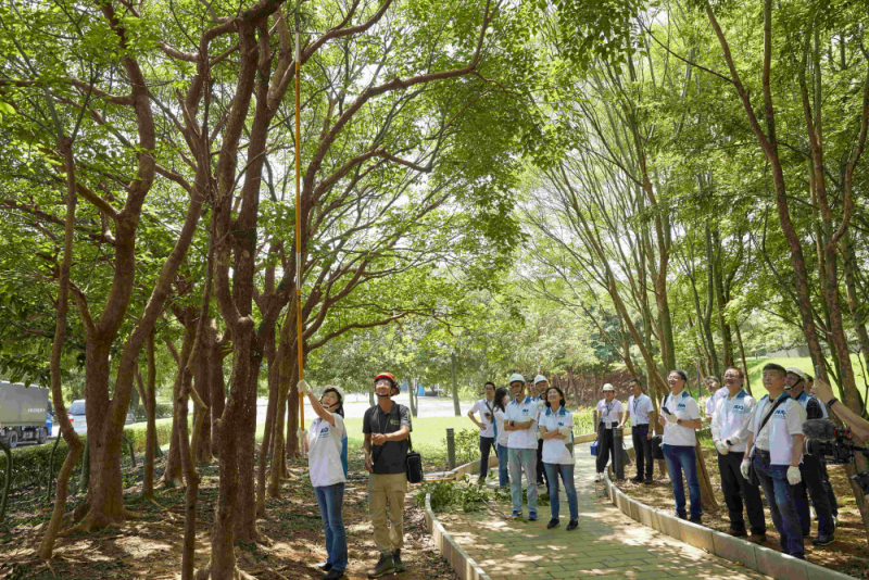 藝師教導大家認識樹木、檢查樹的健康狀況，學習修枝及碎枝覆土
